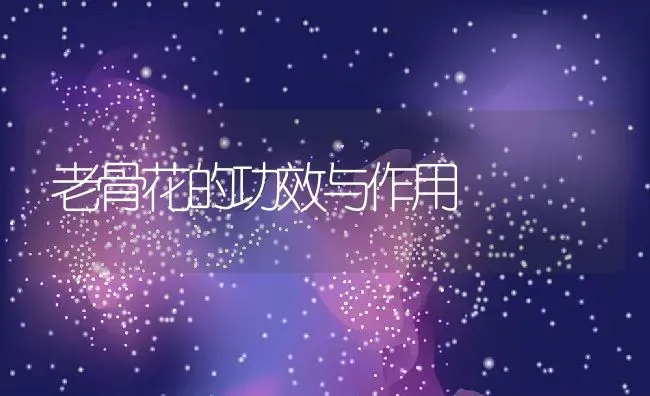 老骨花的功效与作用 | 养殖资料投稿