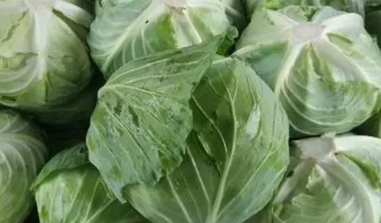 包菜的营养价值及功效