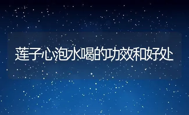 莲子心泡水喝的功效和好处 | 养殖资料投稿