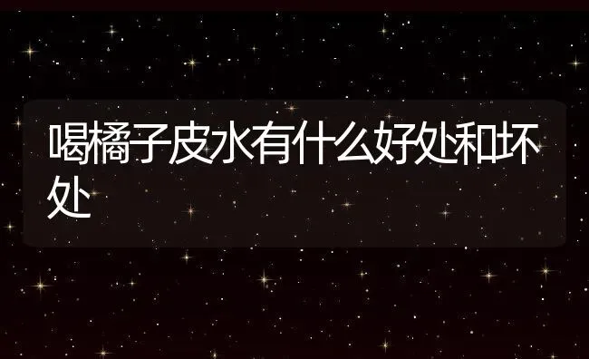 喝橘子皮水有什么好处和坏处 | 养殖资料投稿