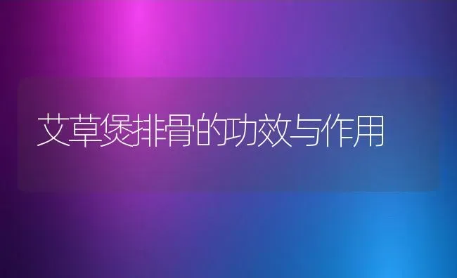 艾草煲排骨的功效与作用 | 养殖资料投稿