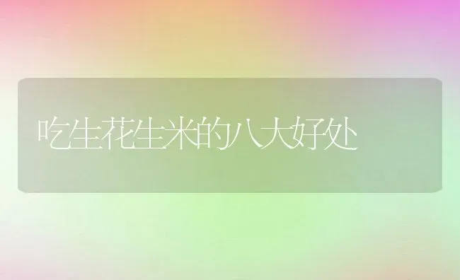 吃生花生米的八大好处 | 养殖资料投稿