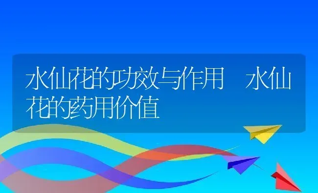 水仙花的功效与作用 水仙花的药用价值 | 养殖资料投稿