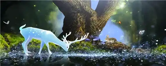 林麝适合在哪个省养殖