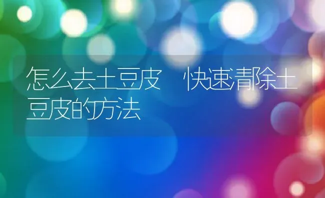 怎么去土豆皮 快速清除土豆皮的方法 | 养殖资料投稿