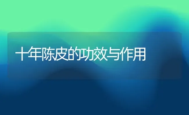 十年陈皮的功效与作用 | 养殖资料投稿