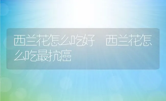 西兰花怎么吃好 西兰花怎么吃最抗癌 | 养殖资料投稿