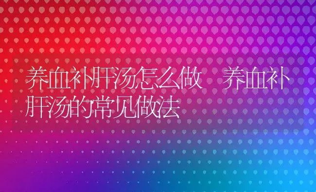 养血补肝汤怎么做 养血补肝汤的常见做法 | 养殖资料投稿