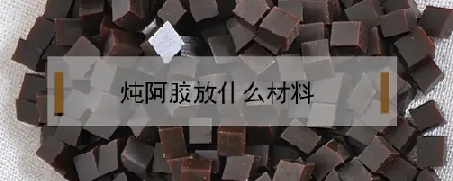 炖阿胶放什么材料