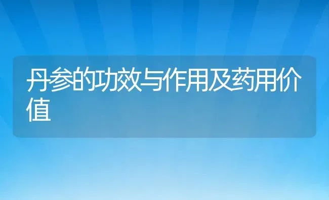 丹参的功效与作用及药用价值 | 养殖资料投稿