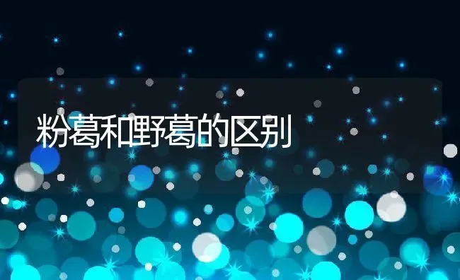粉葛和野葛的区别 | 养殖资料投稿