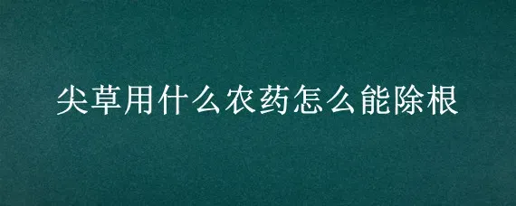 尖草用什么农药怎么能除根