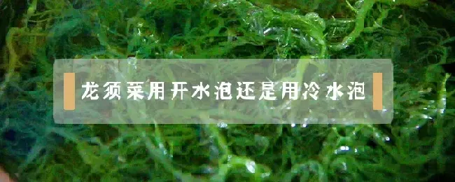 龙须菜用开水泡还是用冷水泡