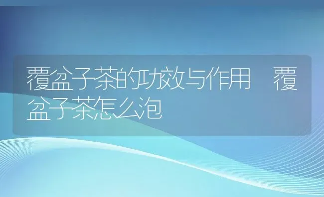 覆盆子茶的功效与作用 覆盆子茶怎么泡 | 养殖资料投稿