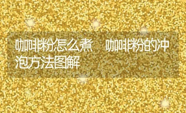 咖啡粉怎么煮 咖啡粉的冲泡方法图解 | 养殖资料投稿