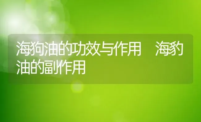 海狗油的功效与作用 海豹油的副作用 | 养殖资料投稿