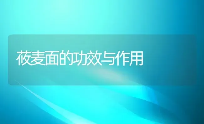 莜麦面的功效与作用 | 养殖资讯