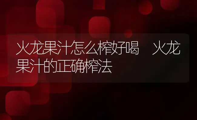 火龙果汁怎么榨好喝 火龙果汁的正确榨法 | 养殖资料投稿