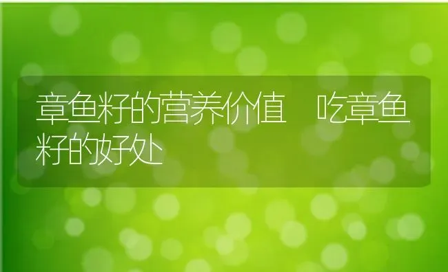 章鱼籽的营养价值 吃章鱼籽的好处 | 养殖资料投稿