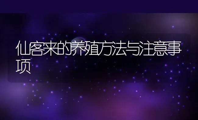 仙客来的养殖方法与注意事项 | 养殖资料投稿