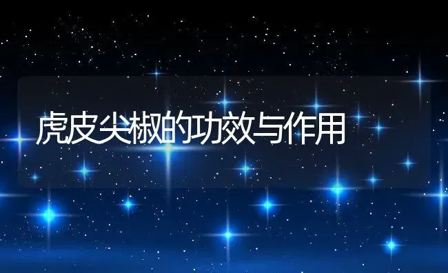虎皮尖椒的功效与作用 | 养殖资料投稿