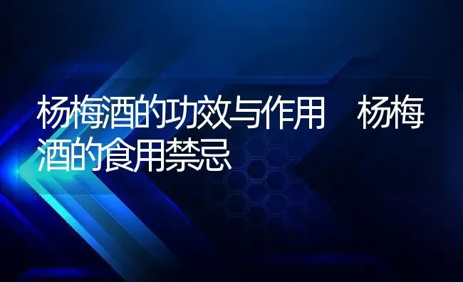 杨梅酒的功效与作用 杨梅酒的食用禁忌 | 养殖资料投稿