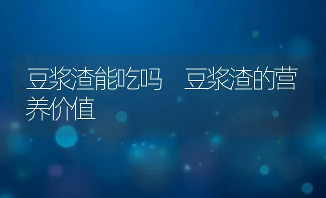 豆浆渣能吃吗 豆浆渣的营养价值 | 养殖资料投稿