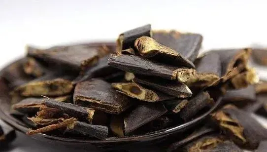 大皂角外用的功效与作用