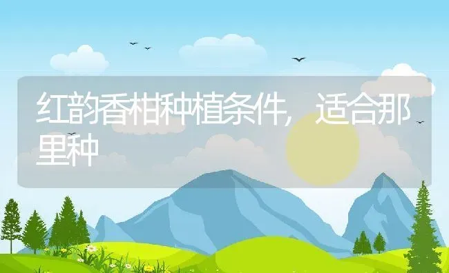 红韵香柑种植条件,适合那里种 | 养殖资讯