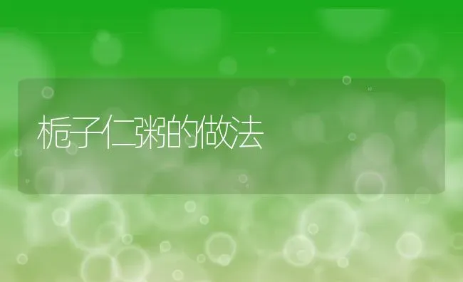 栀子仁粥的做法 | 养殖资料投稿