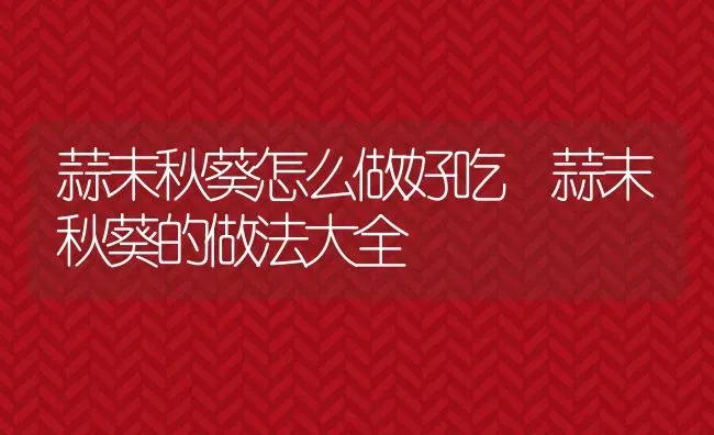 蒜末秋葵怎么做好吃 蒜末秋葵的做法大全 | 养殖资料投稿