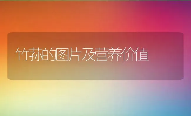 黄蝉兰的功效与作用 | 养殖资料投稿