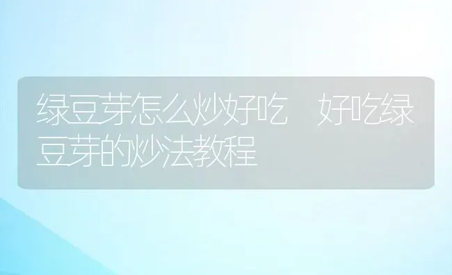 绿豆芽怎么炒好吃 好吃绿豆芽的炒法教程 | 养殖资料投稿