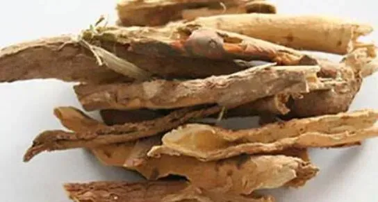 南五加皮的功效和作用