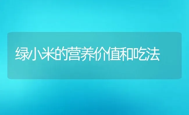 绿小米的营养价值和吃法 | 养殖资料投稿