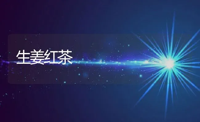生姜红茶 | 养殖资料投稿