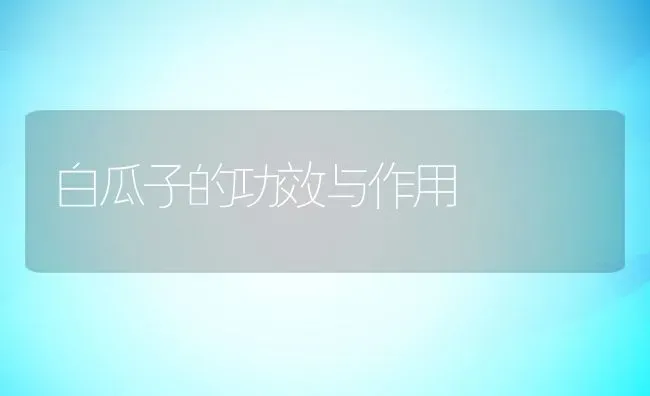 白瓜子的功效与作用 | 养殖资料投稿