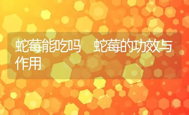 蛇莓能吃吗 蛇莓的功效与作用 | 养殖资料投稿
