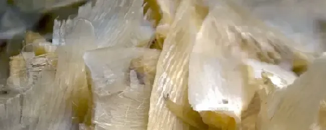 鱼翅怎么保存