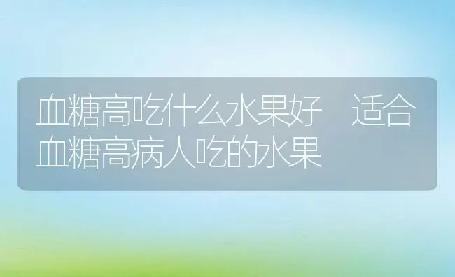 血糖高吃什么水果好 适合血糖高病人吃的水果 | 养殖资料投稿