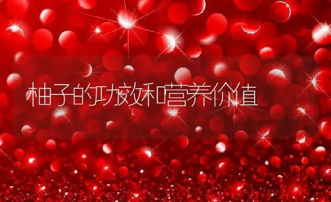 补肾补血补气的食物有哪些 | 养殖资料投稿