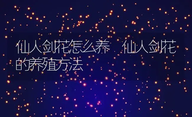 仙人剑花怎么养 仙人剑花的养殖方法 | 养殖资料投稿