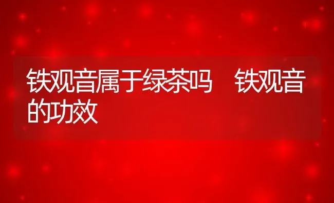 铁观音属于绿茶吗 铁观音的功效 | 养殖资料投稿