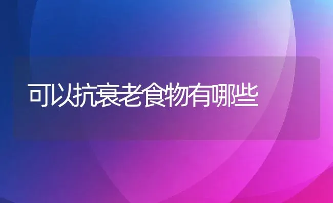 可以抗衰老食物有哪些 | 养殖资料投稿