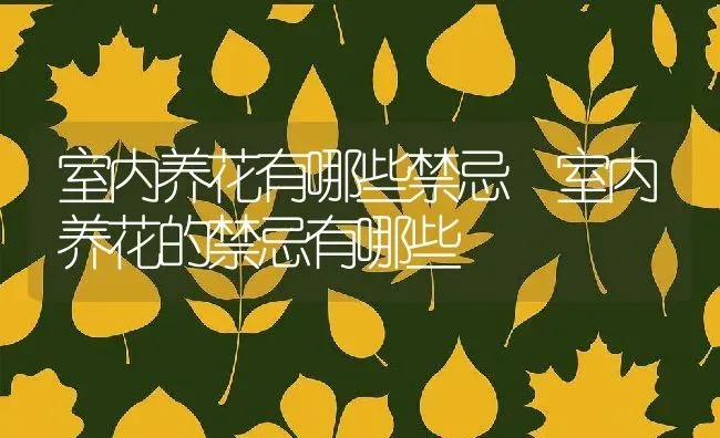 室内养花有哪些禁忌 室内养花的禁忌有哪些 | 养殖资料投稿
