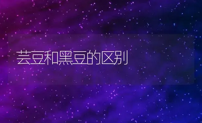 芸豆和黑豆的区别 | 养殖资料投稿