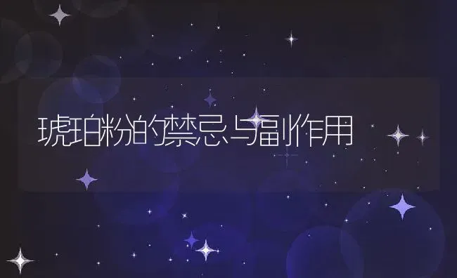 琥珀粉的禁忌与副作用 | 养殖资料投稿