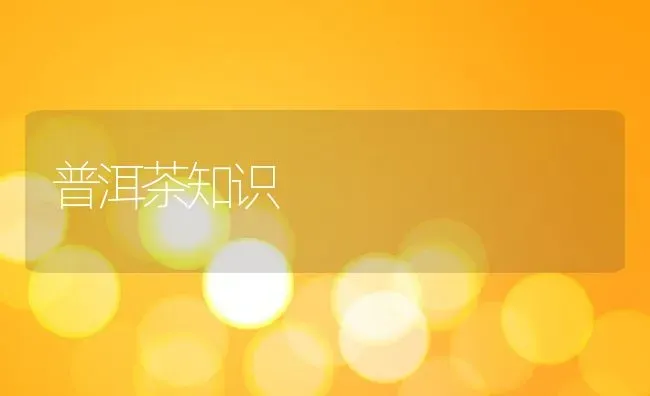 普洱茶知识 | 养殖资料投稿