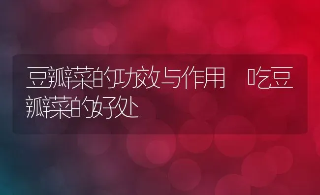 豆瓣菜的功效与作用 吃豆瓣菜的好处 | 养殖资料投稿