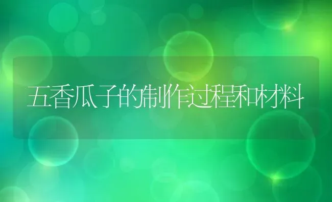 五香瓜子的制作过程和材料 | 养殖资料投稿